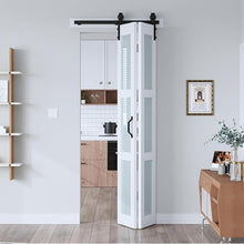 Load image into Gallery viewer, EaseLife 30&quot;x84&quot; Bifold Frosted Glass Barn Door – Modern Double Panel with Hardware Kit, Space-Saving Folding Design for Interior Use