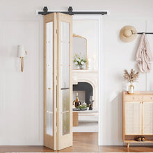 Load image into Gallery viewer, Frosted Glass Solid Wood Unfinished Bifold Barn Door With Installation Hardware Kit